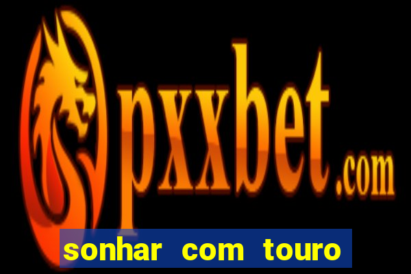 sonhar com touro bravo no mundo espiritual